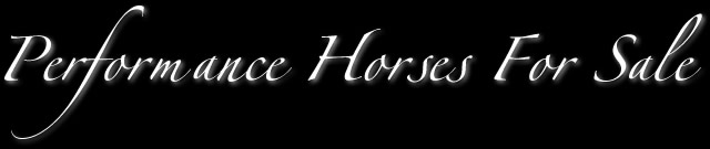 Performance Horses For Sale